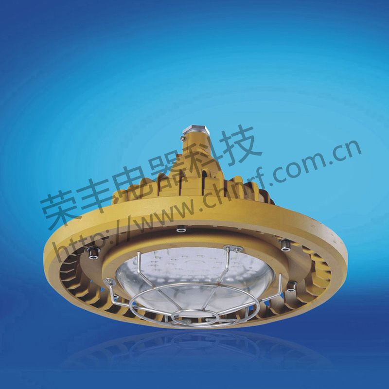 BAD8610防爆免维护节能灯(LED)