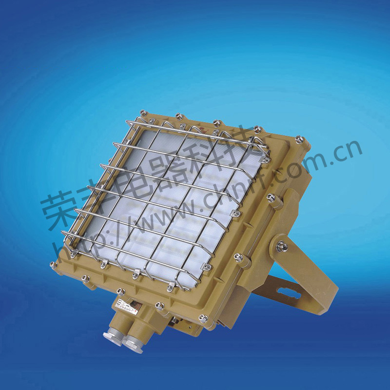 BAD8669防爆免维护投光灯/泛光灯(LED)