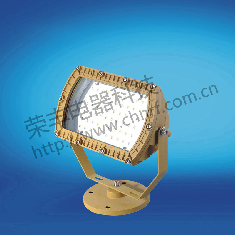 BAD8679防爆免维护投光灯/泛光灯(LED)