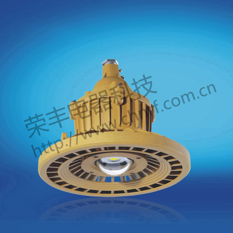 BAD8640防爆免维护节能灯(LED)