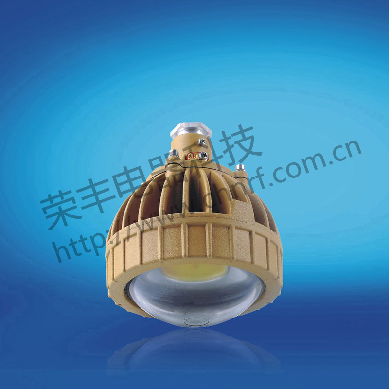 BAD8650防爆免维护节能灯(LED)