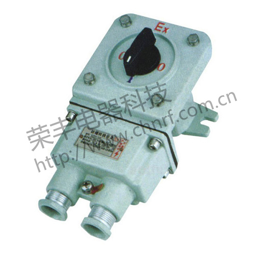 BZZ51系列防爆转换开关（ⅡB）