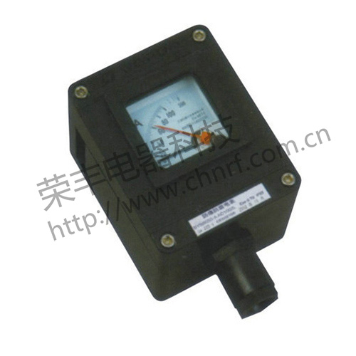 BYB8050系列防爆防腐电表（ⅡC）