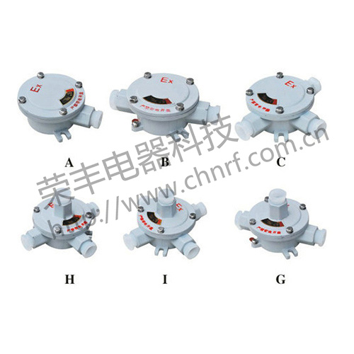 BHD51（AH）系列防爆接线盒（ⅡB、ⅡC、e） 