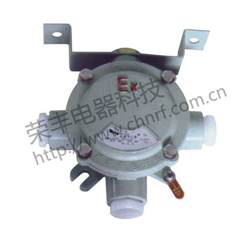 BHD52系列防爆吊灯盒（ⅡB、e） 