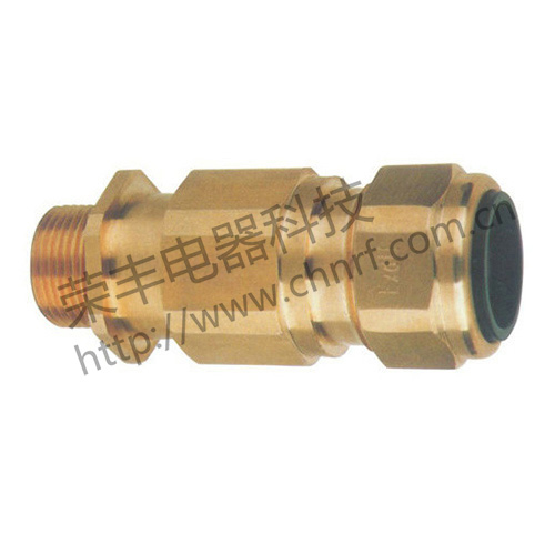 DQM系列电缆夹紧密封接头（d Ⅱ、e）