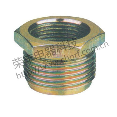 BGJ-b系列防爆变径头（d Ⅱ）