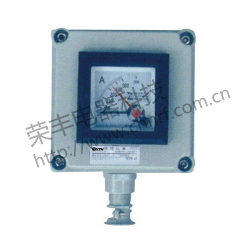 BYB系列防爆仪表（e）