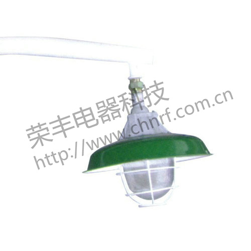 BAM52系列防爆马路灯（ⅡB、ⅡC、e）