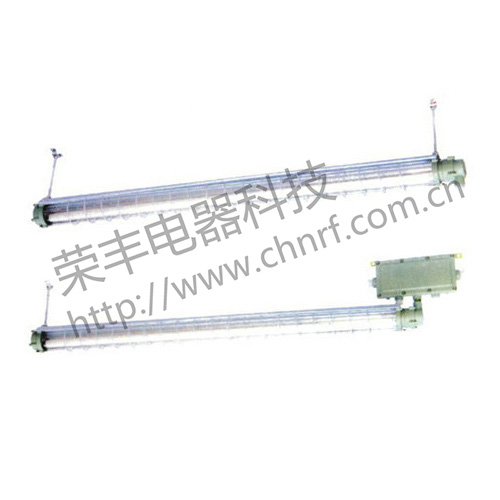 BAY51（T8）系列隔爆型防爆荧光灯（ⅡB）