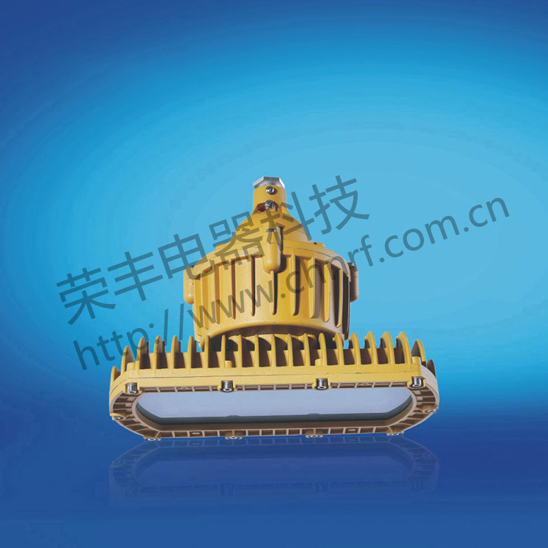 BAD8670防爆免维护节能灯(LED)