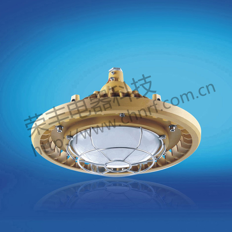 BAD8616防爆免维护节能灯(LED)