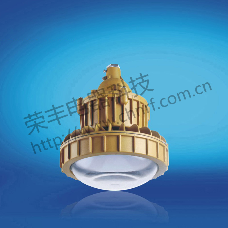 BAD8626防爆免维护节能灯(LED)