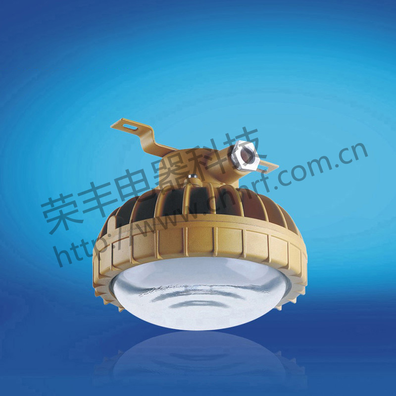 BAD8636防爆免维护节能灯(LED)