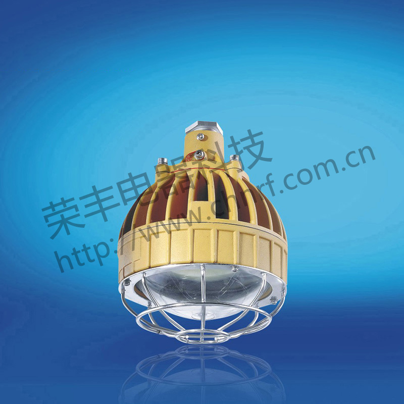 BAD8656防爆免维护节能灯(LED)