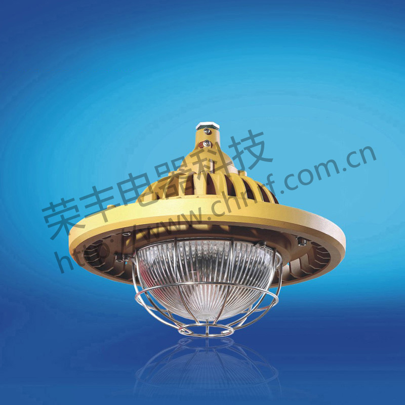 BAD8617防爆免维护节能灯(LED)