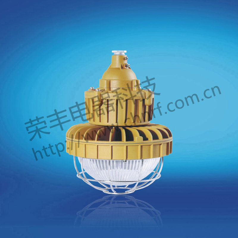 BAD8627防爆免维护节能灯(LED)