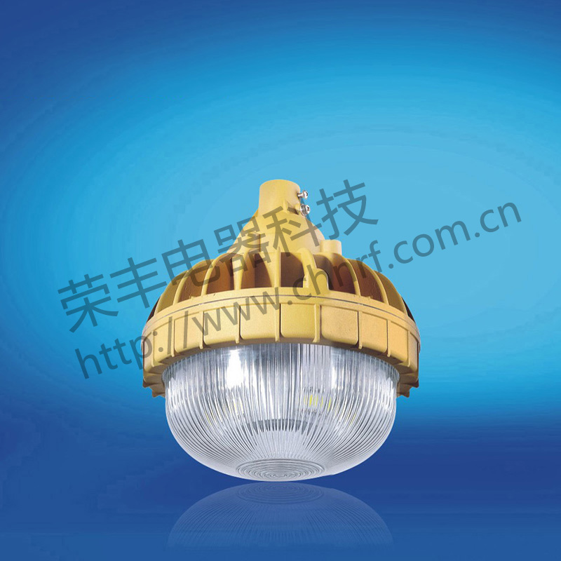 BAD8637防爆免维护节能灯(LED)