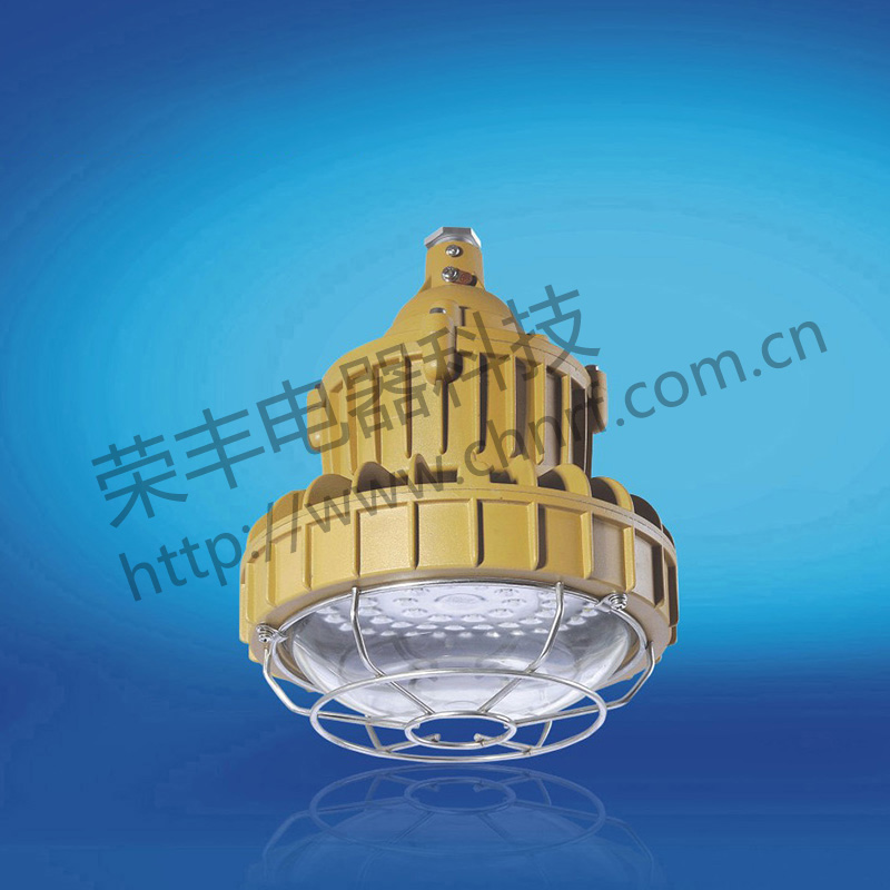 BAD8620防爆免维护节能灯(LED)