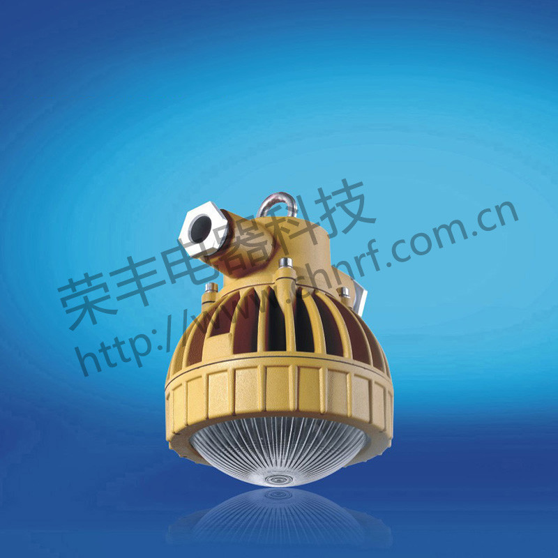 BAD8657防爆免维护节能灯(LED)