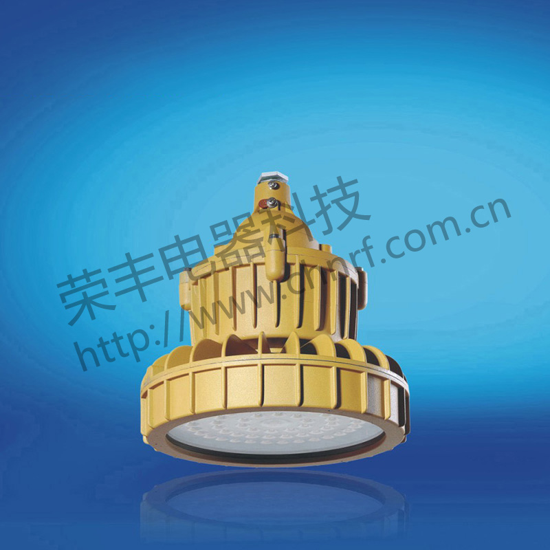 BAD8628免维护防水防尘防腐节能灯(LED)