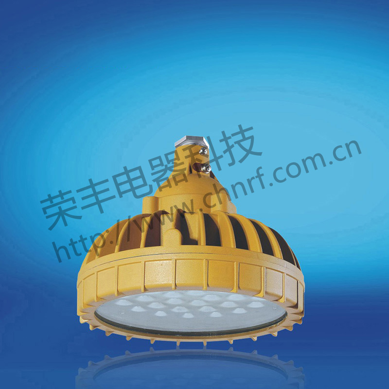 BAD8638免维护防水防尘防腐节能灯(LED)