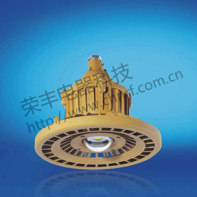 BAD8648免维护防水防尘防腐节能灯(LED)