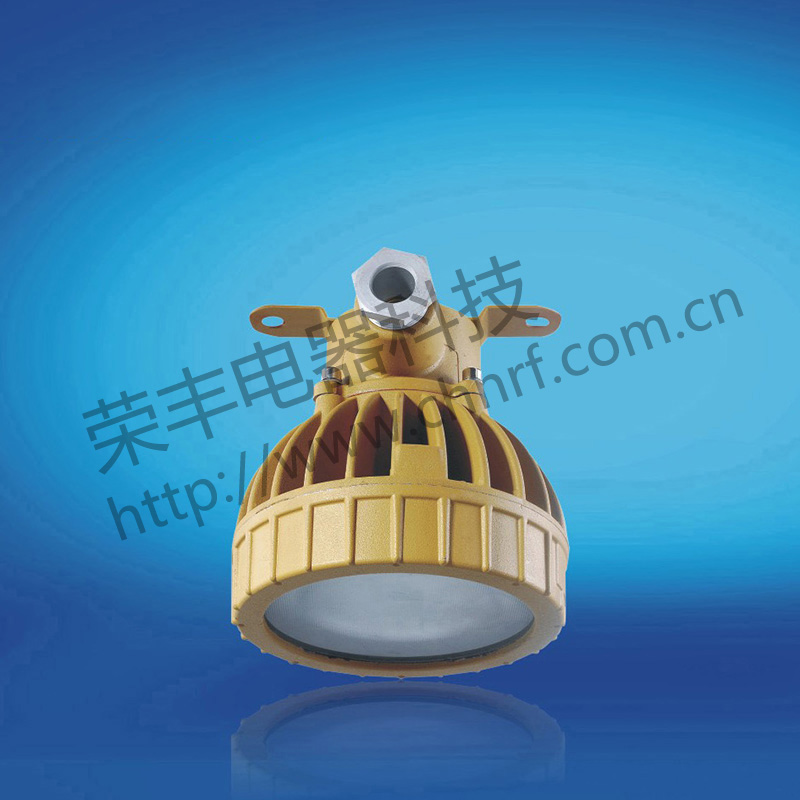 BAD8658免维护防水防尘防腐节能灯(LED)