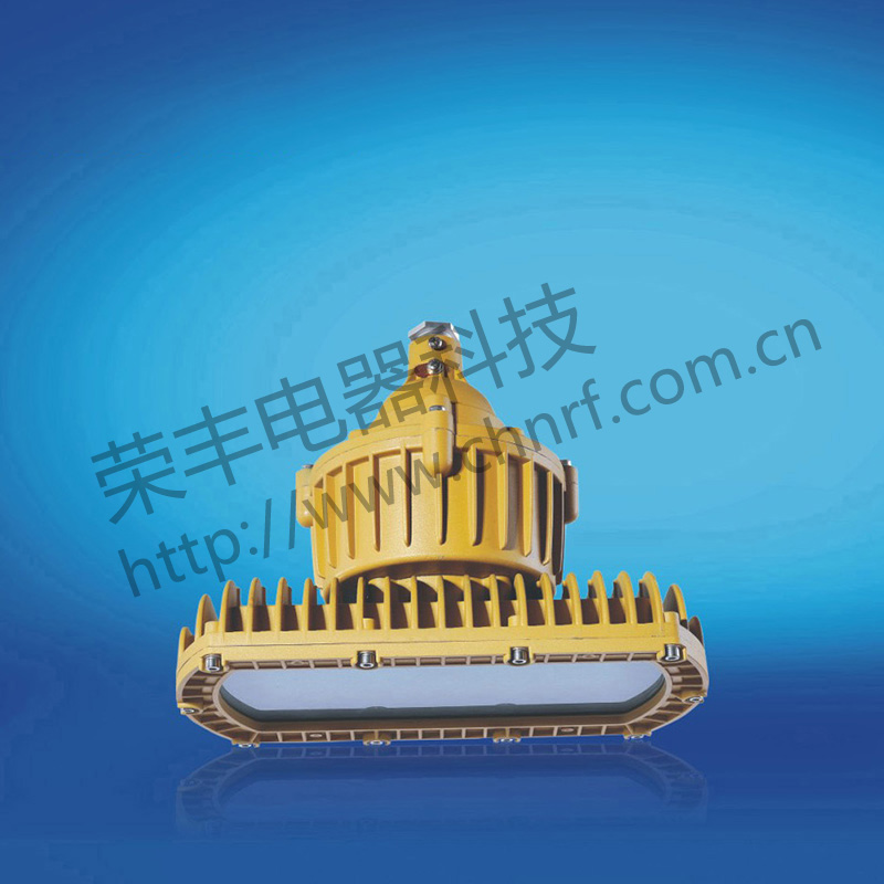 BAD8678免维护防水防尘防腐节能灯(LED)