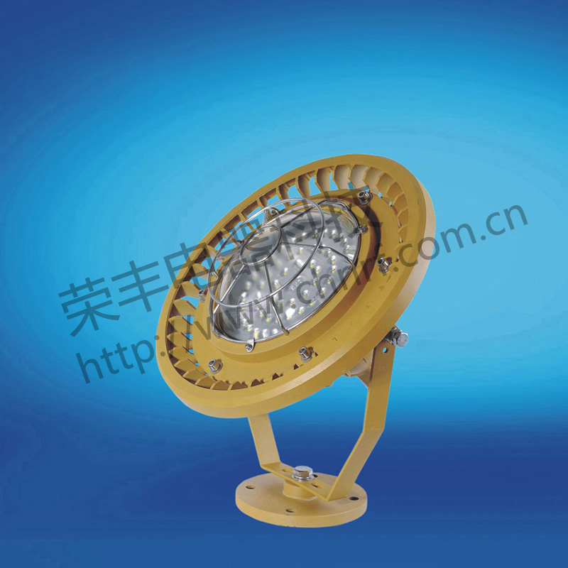 BAD8619防爆免维护投光灯/泛光灯(LED)