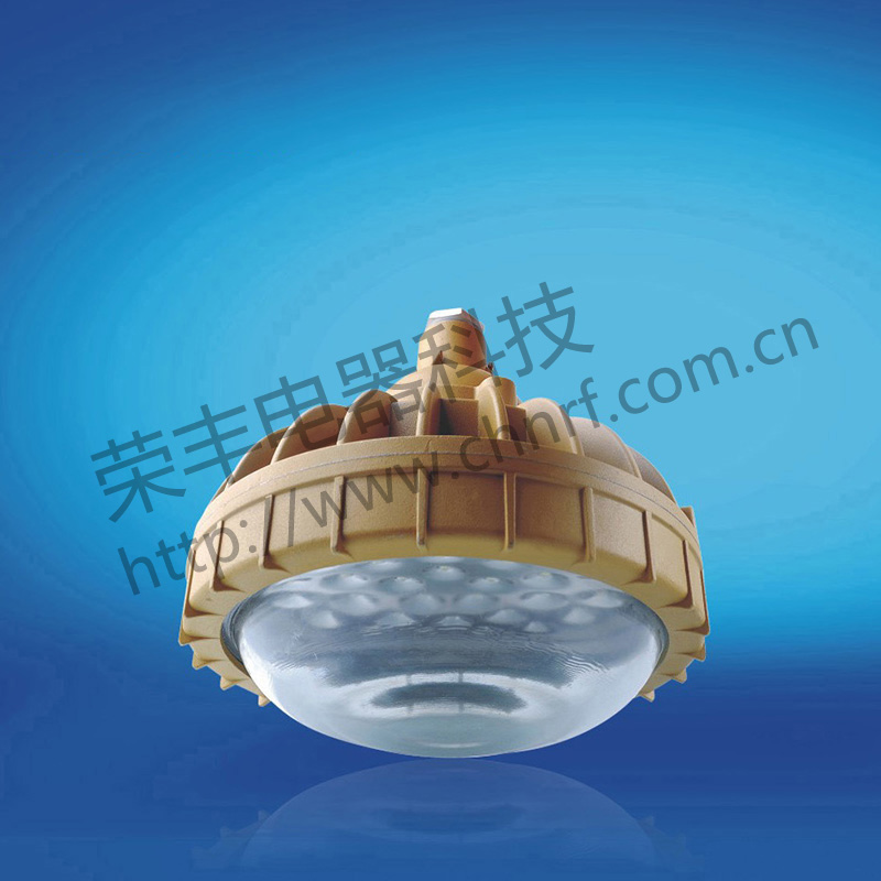 BAD8630防爆免维护节能灯(LED)