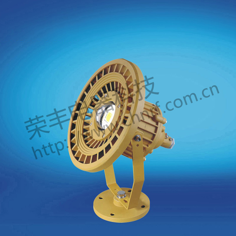 BAD8649防爆免维护投光灯/泛光灯(LED)